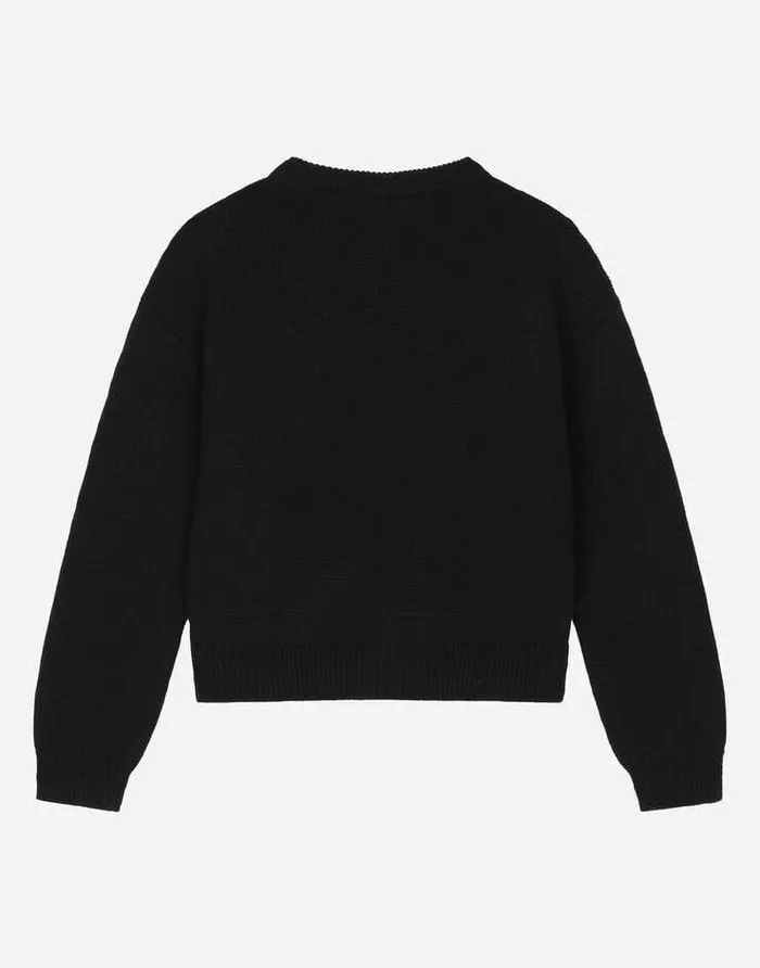 Dolce and Gabbana Sweaters Children Roundneck Sweater With DG Logo Inlay Multicolor Dolce and Gabbana Sweaters Children Roundneck Sweater With DG Logo Inlay Multicolor