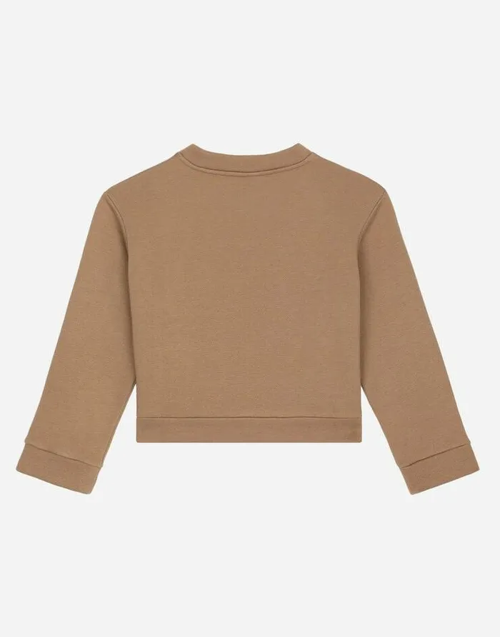 Dolce and Gabbana TShirts And Sweatshirts Children Jersey Roundneck Sweatshirt With Embroidery Pale Pink Dolce and Gabbana TShirts And Sweatshirts Children Jersey Roundneck Sweatshirt With Embroidery Pale Pink