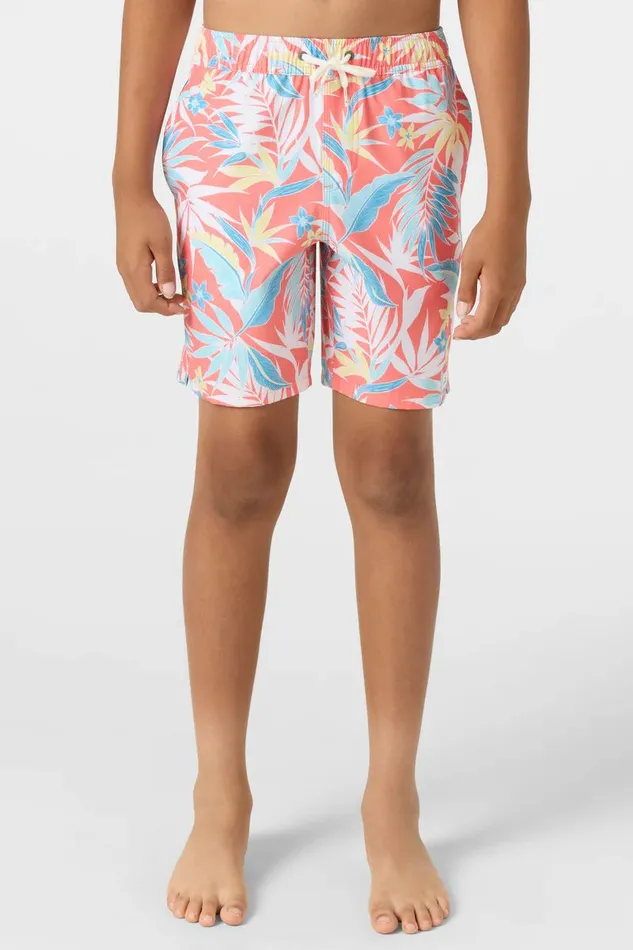 HERMOSA CREW 16034 SHORTS Kids O039NEILL Boy039S Clothing
