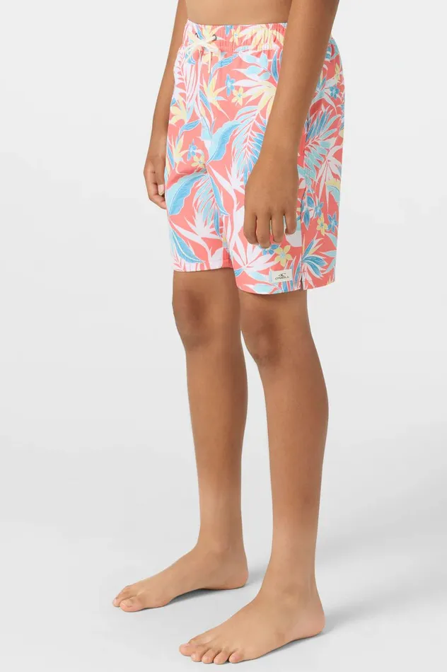 HERMOSA CREW 16034 SHORTS Kids O039NEILL Boy039S Clothing