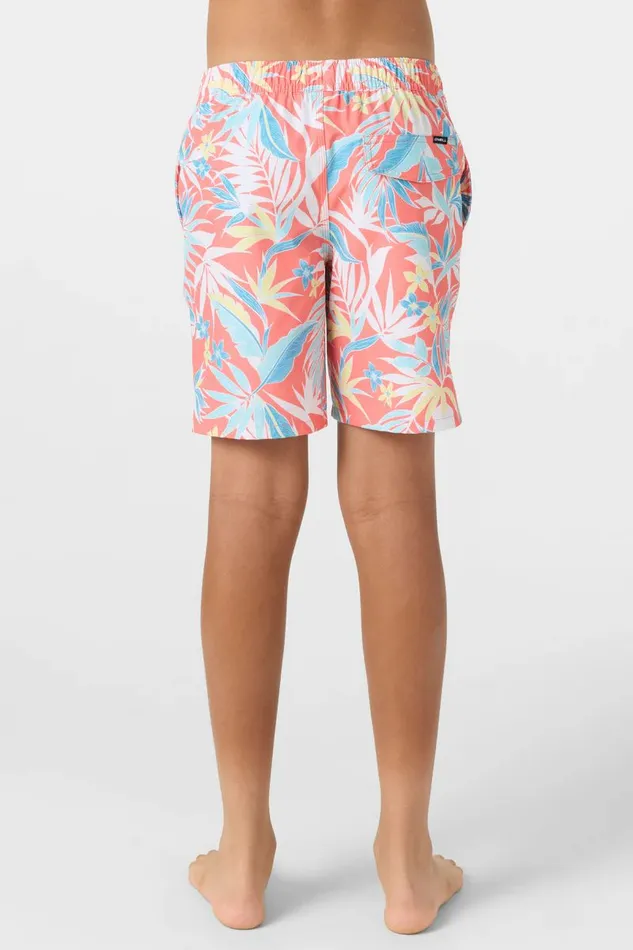 HERMOSA CREW 16034 SHORTS Kids O039NEILL Boy039S Clothing