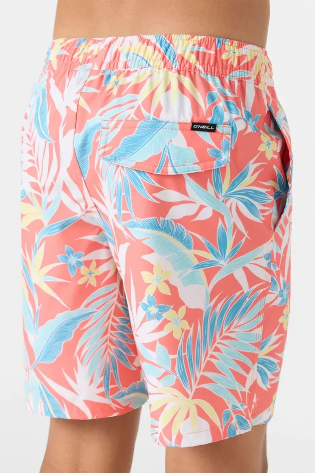 HERMOSA CREW 16034 SHORTS Kids O039NEILL Boy039S Clothing