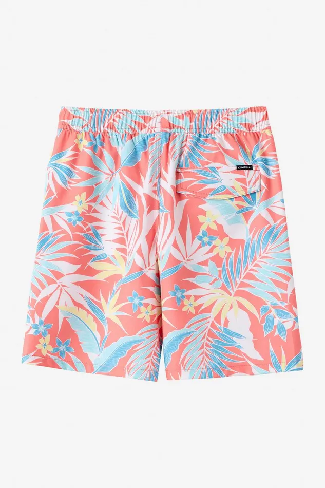HERMOSA CREW 16034 SHORTS Kids O039NEILL Boy039S Clothing