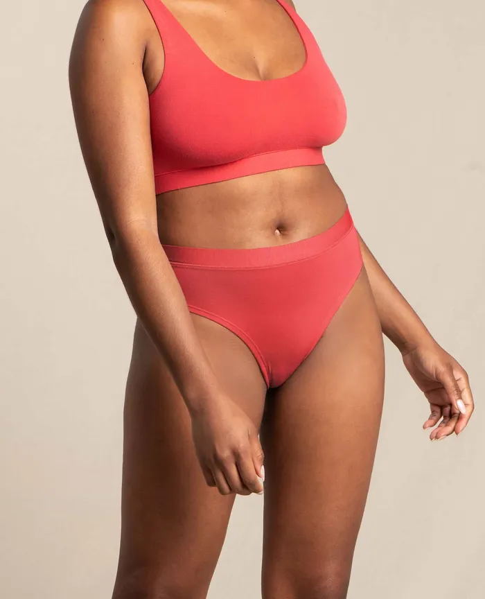High Rise Bikini Lingonberry Underwear and Accessories ToadandCo Women8217s