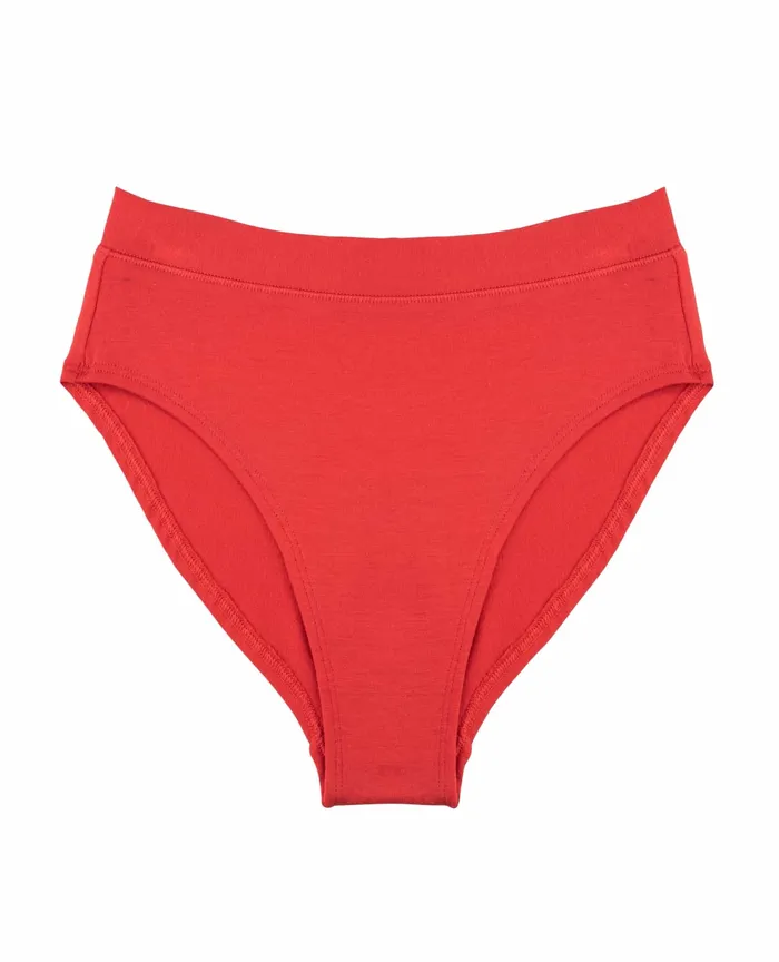 High Rise Bikini Lingonberry Underwear and Accessories ToadandCo Women8217s
