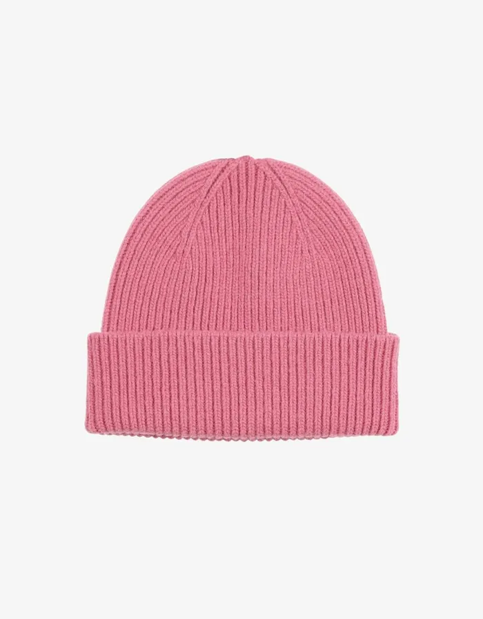 Men Beanies Colorful Standard Merino Wool Beanie Bubblegum Pink