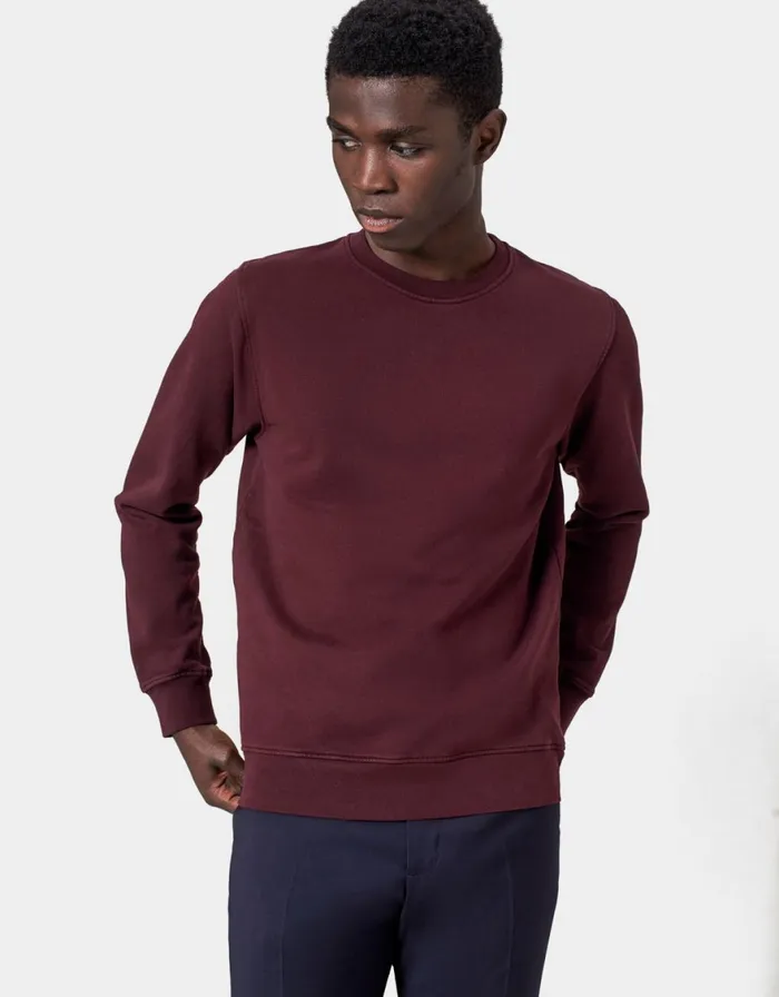Men Crewneck Sweatshirts Colorful Standard Classic Organic Crew Oxblood Red