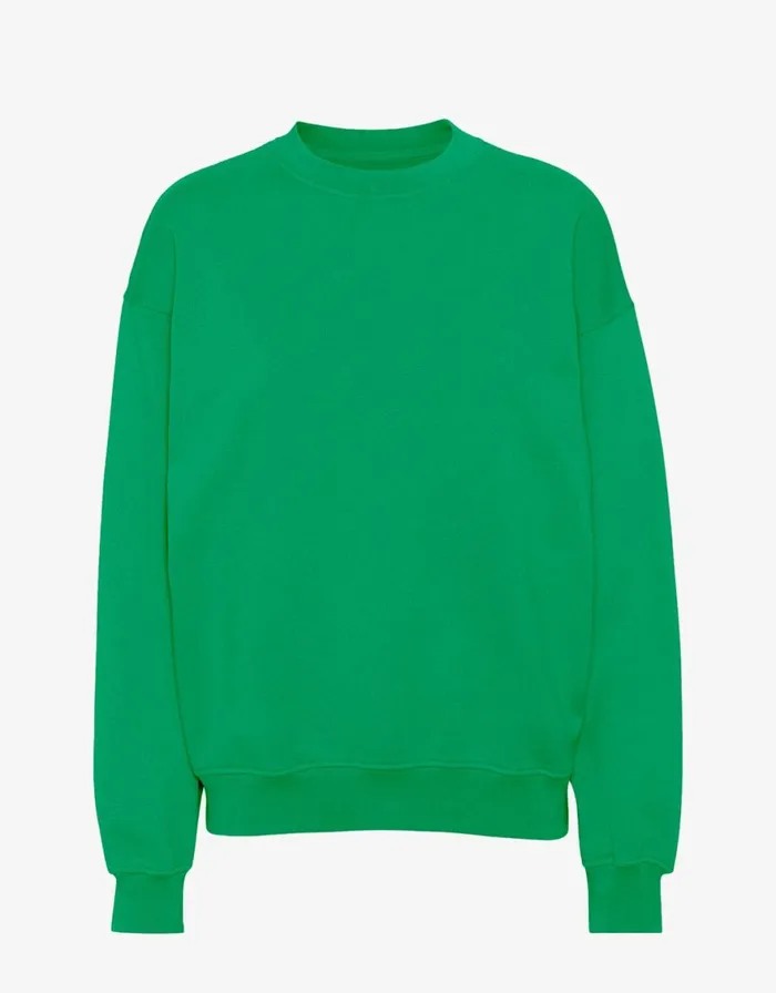 Men Crewneck Sweatshirts Colorful Standard Organic Oversized Crew Kelly Green Men Crewneck Sweatshirts Colorful Standard Organic Oversized Crew Kelly Green
