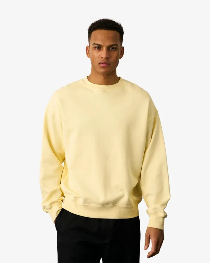 Men Crewneck Sweatshirts Colorful Standard Organic Oversized Crew Pearly Purple
