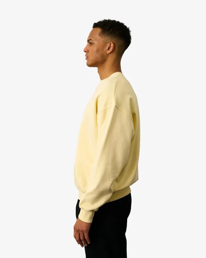 Men Crewneck Sweatshirts Colorful Standard Organic Oversized Crew Pearly Purple