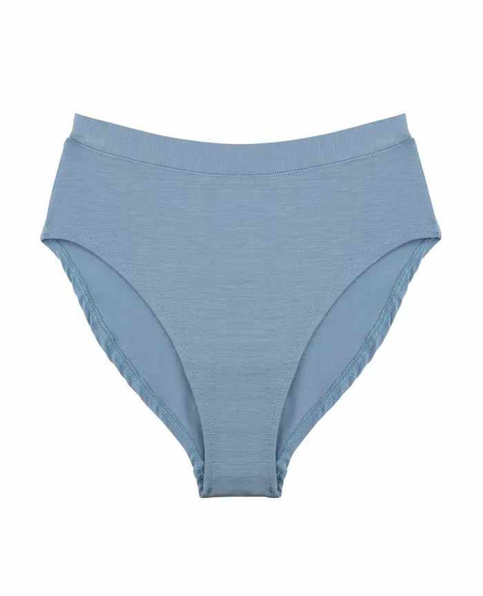 Underwear and Accessories ToadandCo Women8217s High Rise Bikini Weathered Blue