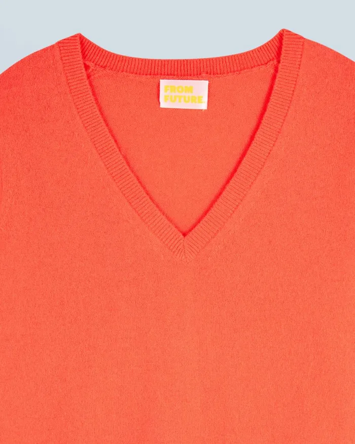 Women Cashmere Sweaters From Future Basic VNeck Sweater Utopic Corail