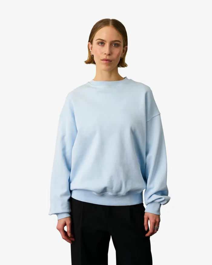 Women Crewneck Sweatshirts Colorful Standard Organic Oversized Crew Cedar Brown