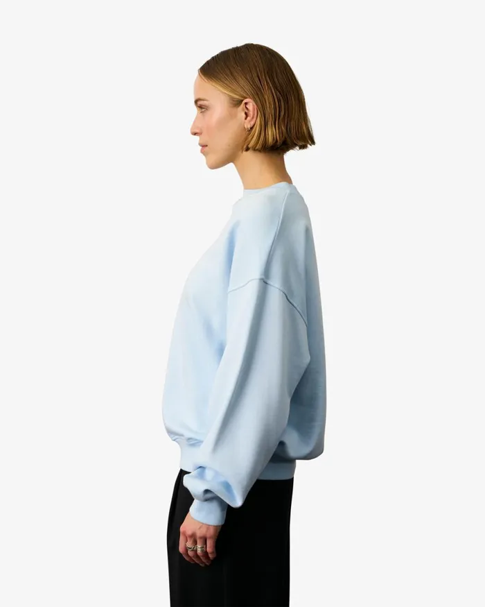 Women Crewneck Sweatshirts Colorful Standard Organic Oversized Crew Cedar Brown