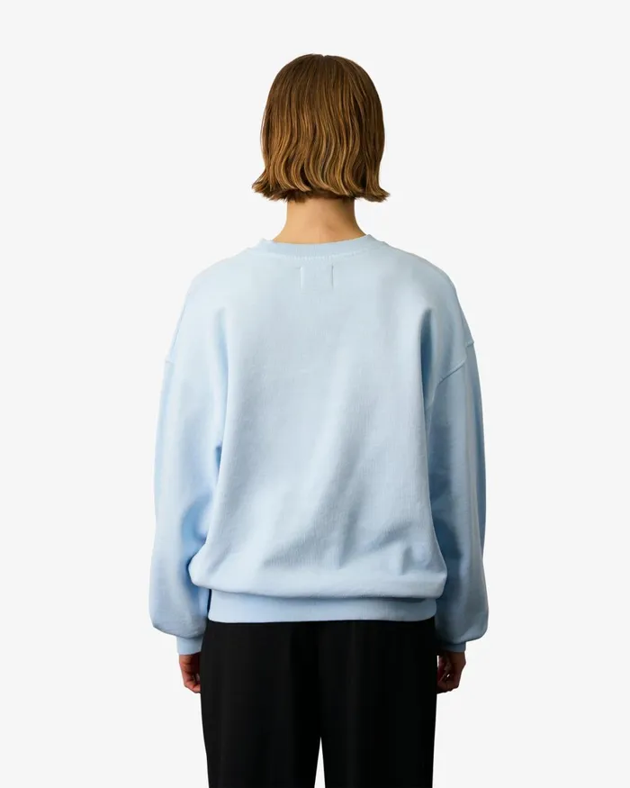 Women Crewneck Sweatshirts Colorful Standard Organic Oversized Crew Cedar Brown