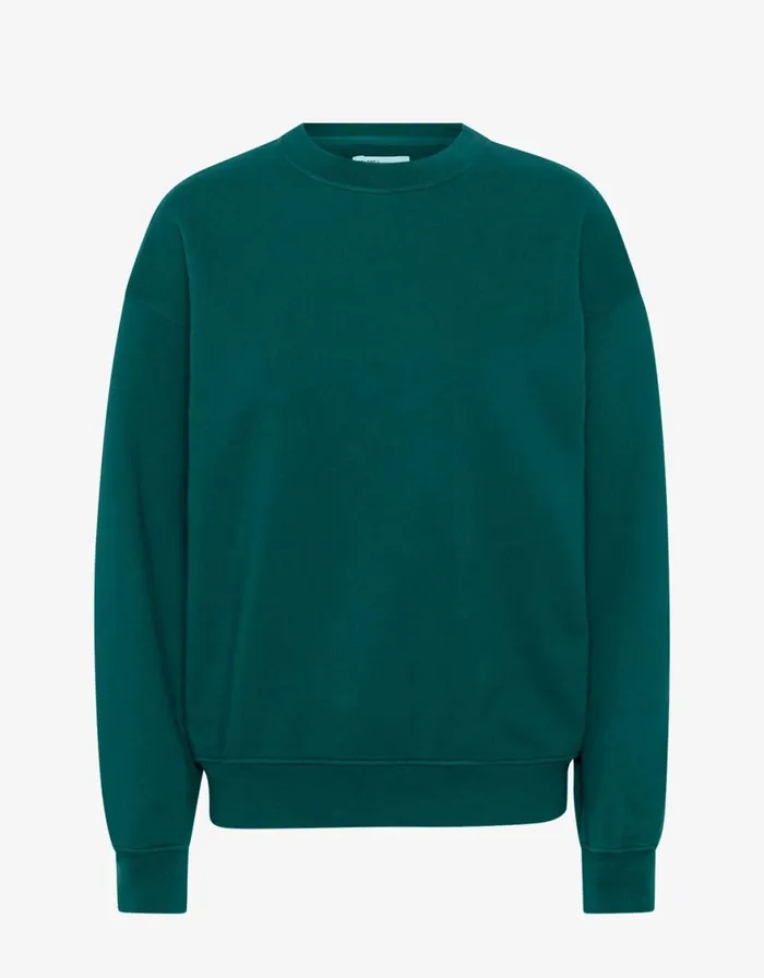 Women Crewneck Sweatshirts Colorful Standard Organic Oversized Crew Ocean Green Women Crewneck Sweatshirts Colorful Standard Organic Oversized Crew Ocean Green