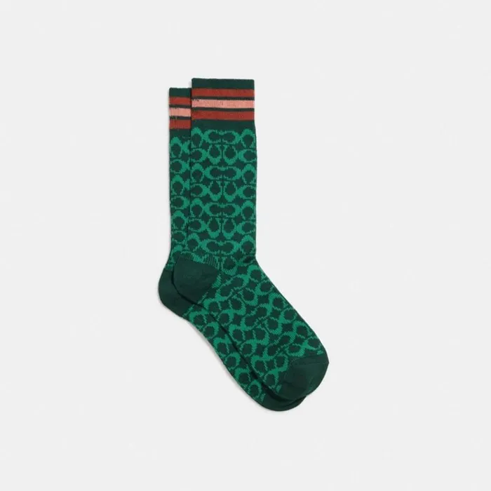 Women Hats Scarves and Gloves Coach Signature Socks Dark Pine