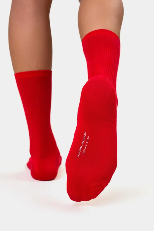 Women Socks Colorful Standard Women Classic Organic Sock Polar Blue