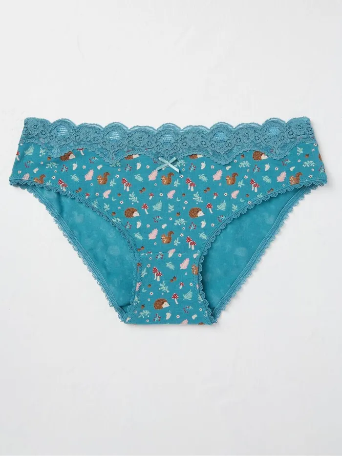 Women Underwear Fat Face Green Woodland Hedgehog Mini Knickers